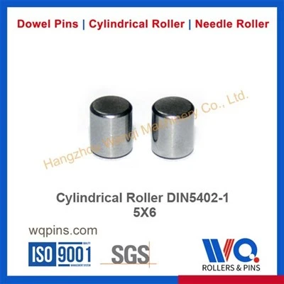 Cylindrical Roller Din5402-1